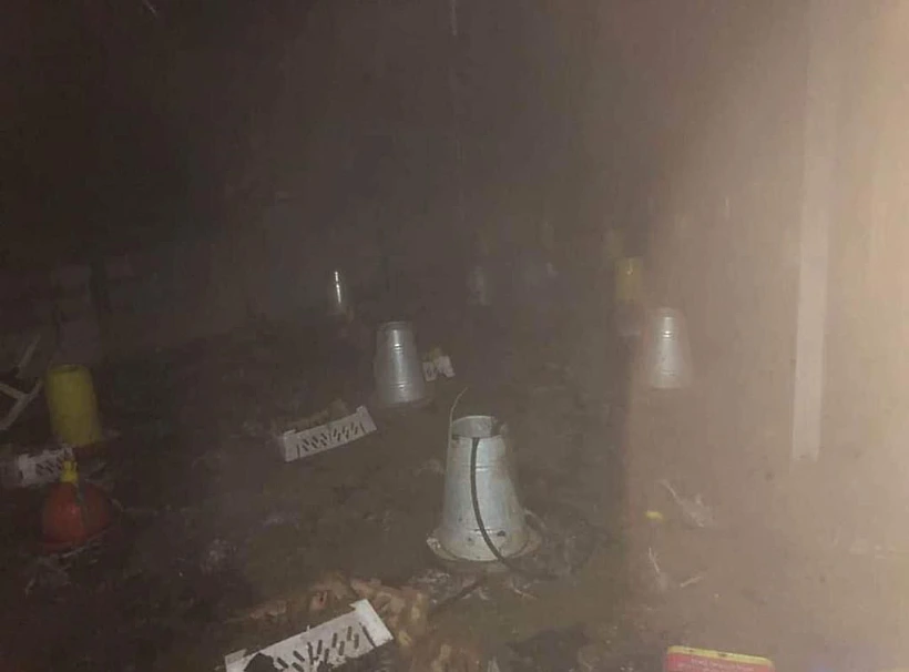 שריפת חווה פלסטינית בסלפית