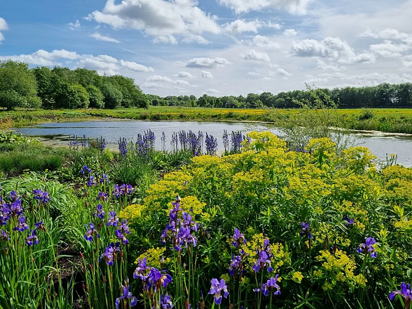RHS Garden Bridgewater