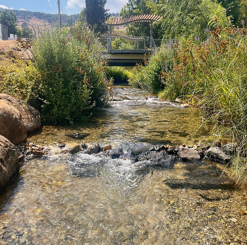 נחל הזהב והמעיין הכורדי