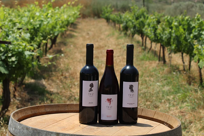 יקב ארץ, כליל