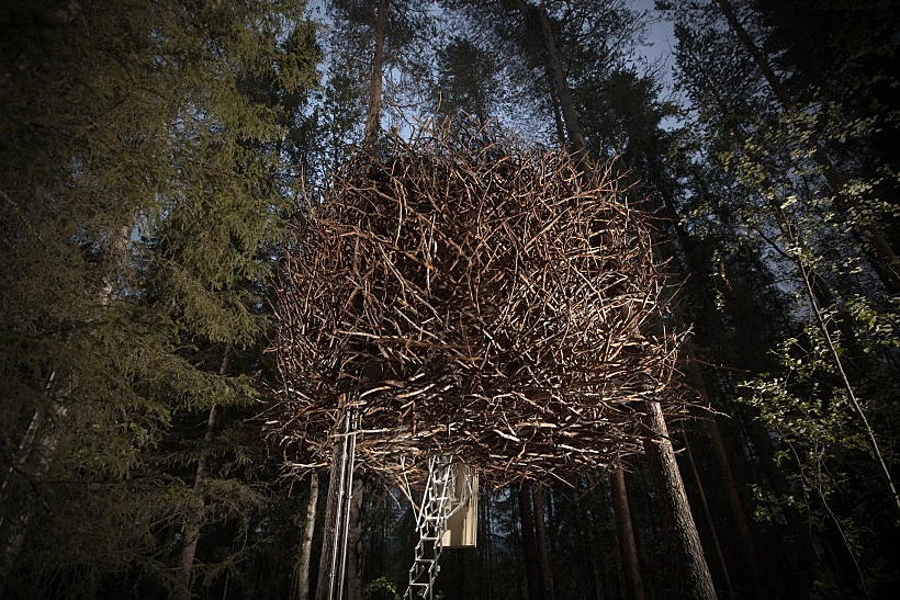 Treehotel 2