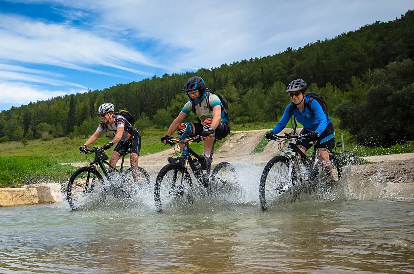 סינגל עין השופט - הזורע