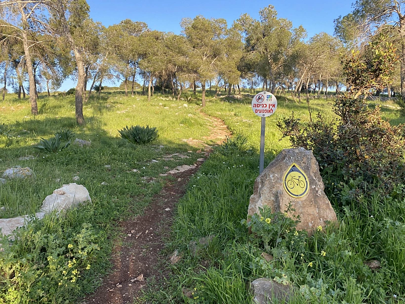 מסלולי הליכה בגלבוע