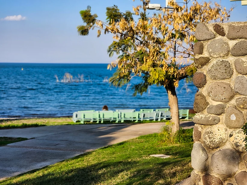 על שפת ים כנרת