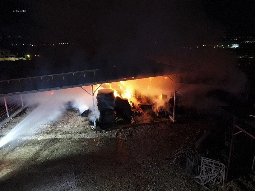 Whatsapp Image 2023 03 11 At 1