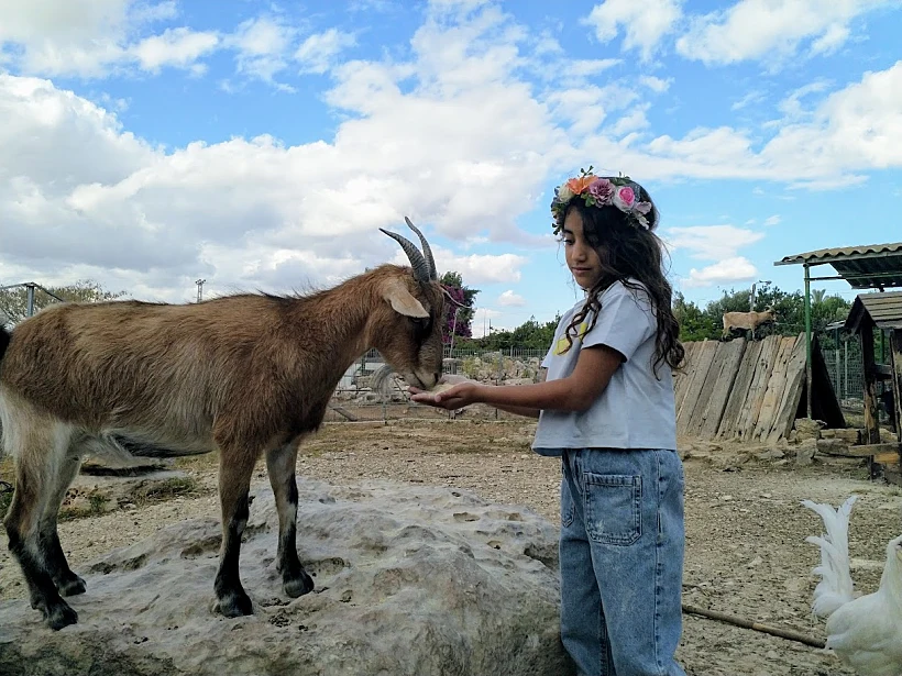 החווה של חווה