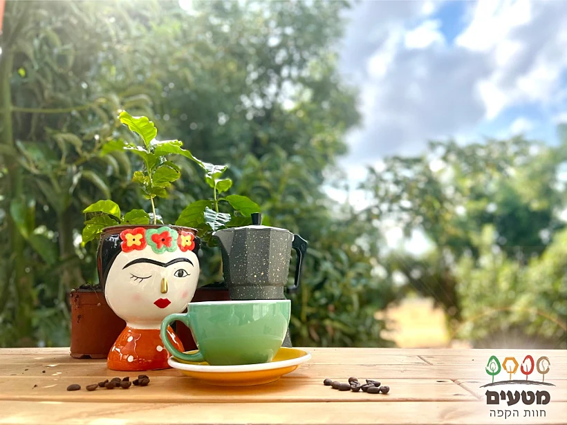 חוות הקפה מטעים