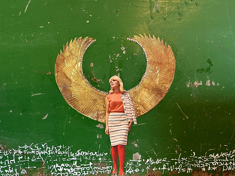 עבודה של שילה  אורינגר