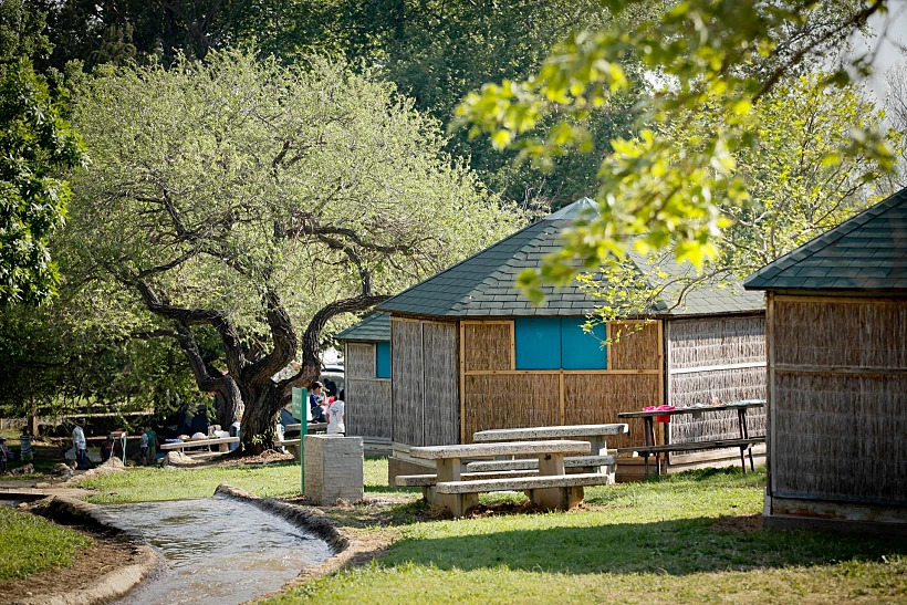 חניון חורשת טל