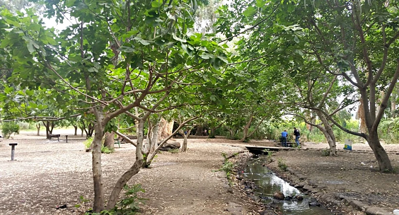 חניון דרדרה