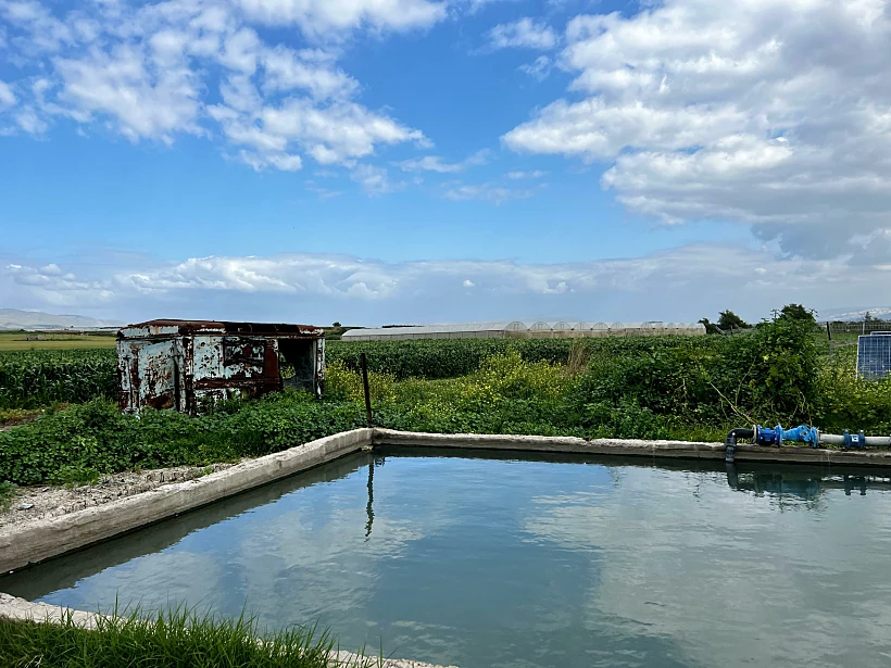 מעינות חדשים ארץ המעינות בקעת הירדן
