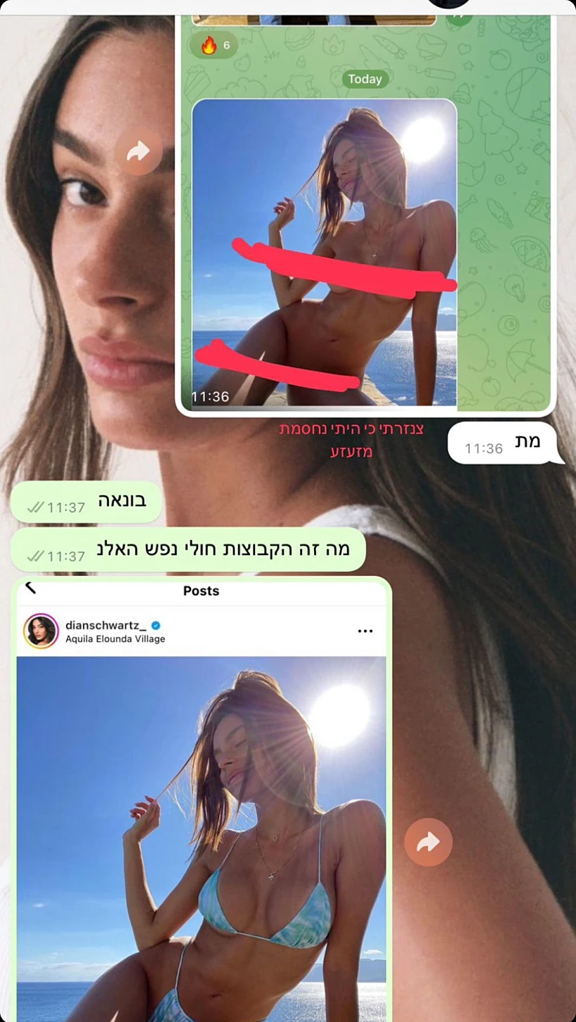 דיאן שוורץ