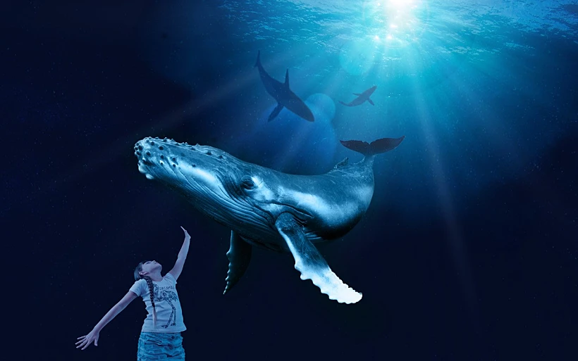 המצפה התת ימי באילת