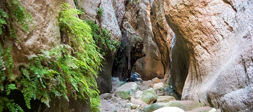 Avakas Gorge