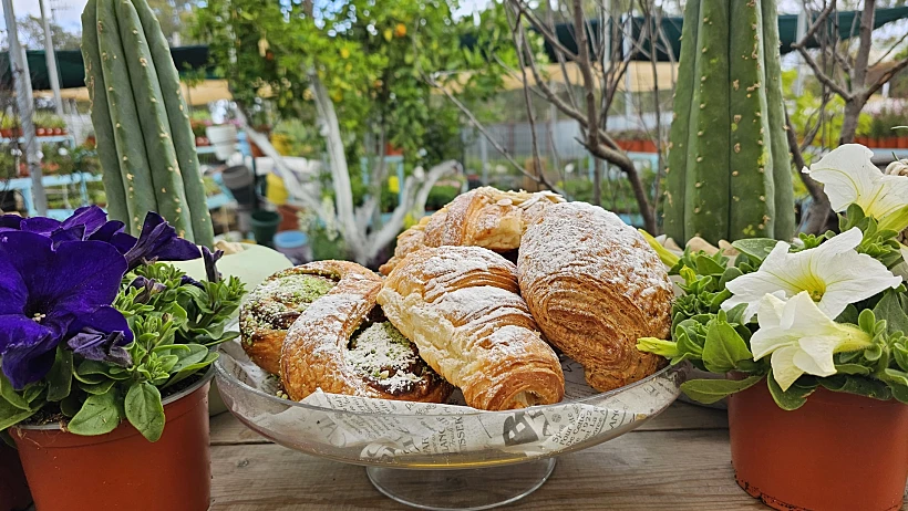 עגלת קפה דשא גן