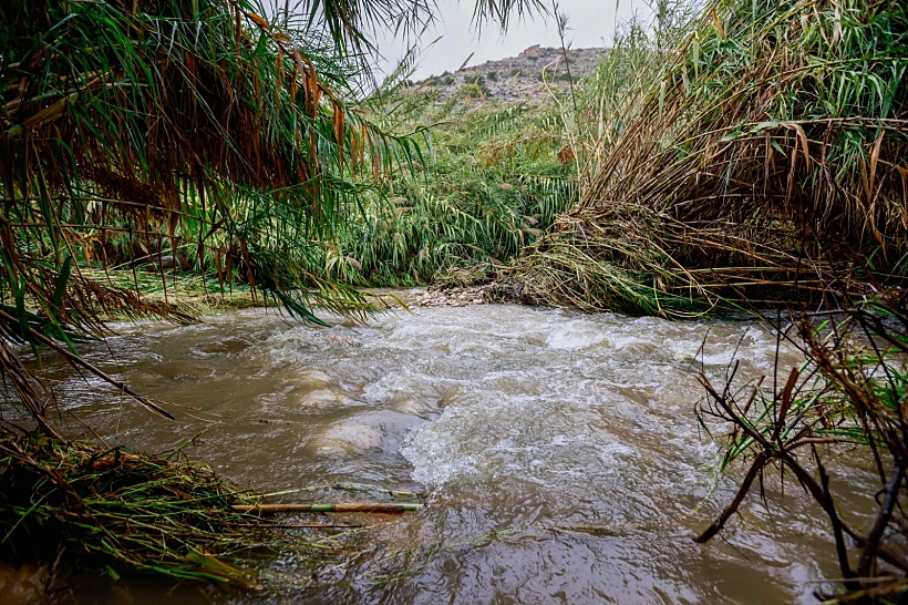 Whatsapp Image 2023 04 12 At 0