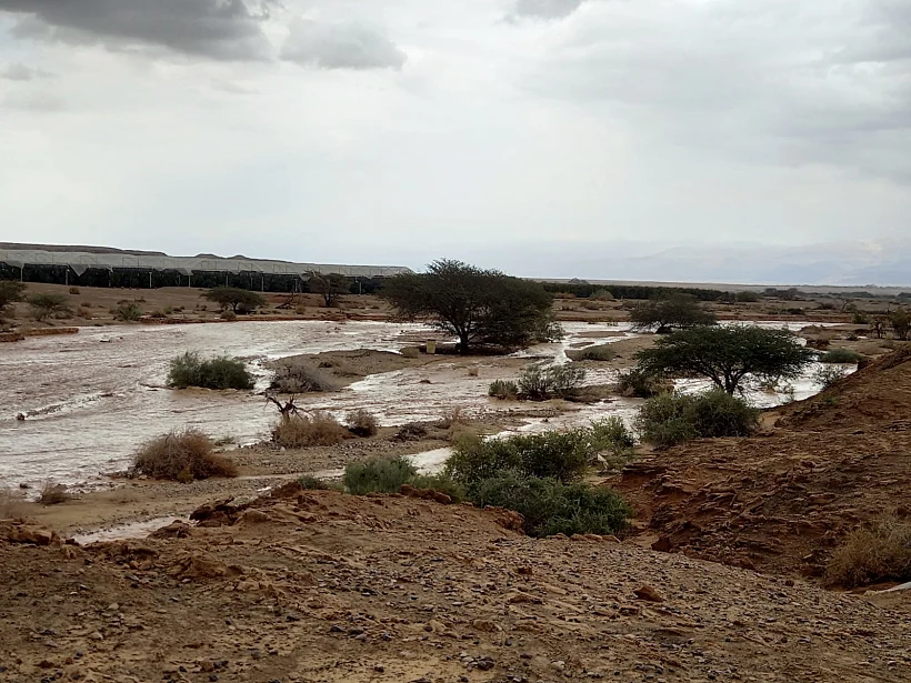 Whatsapp Image 2023 04 12 At 1