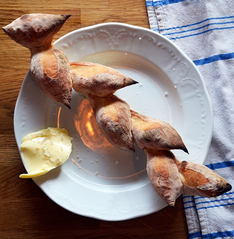 לחם ציפורים בבר ים