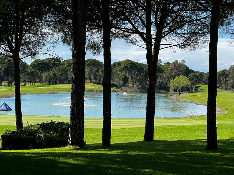 מגרשי גולף באזור בלק