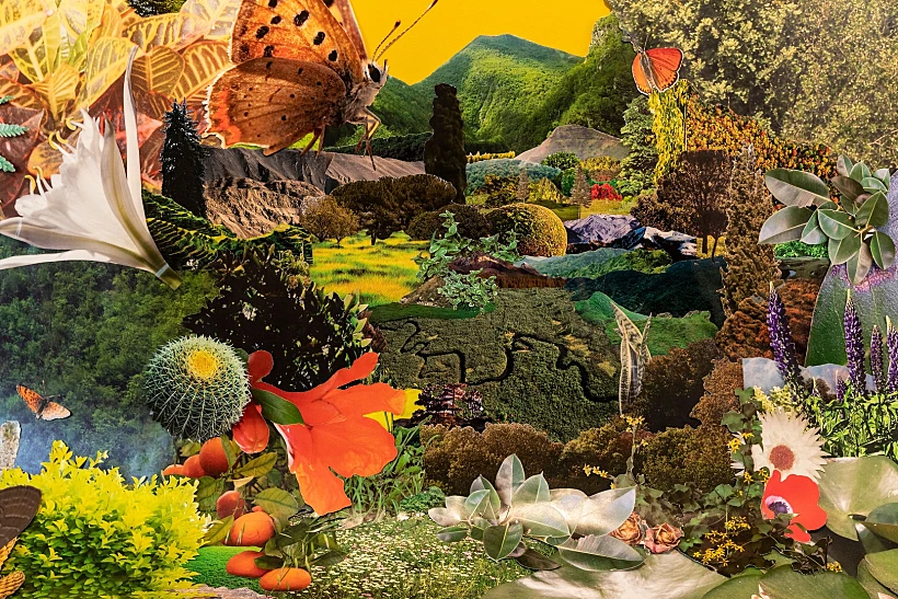 עבודה של יעלה גצוב