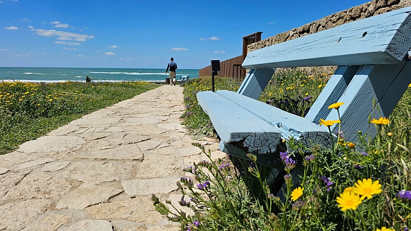 חוף שבי ציון