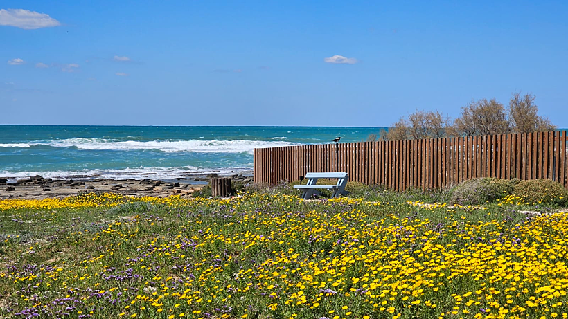 חוף שבי ציון