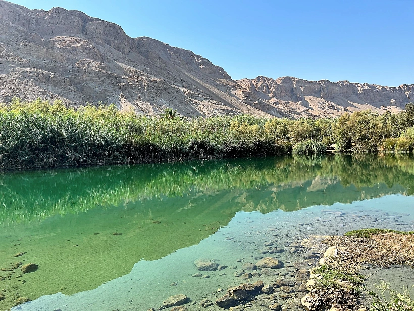 עינות צוקים