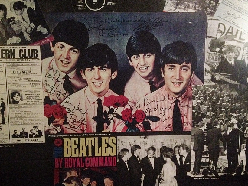 סיפור החיפושיות