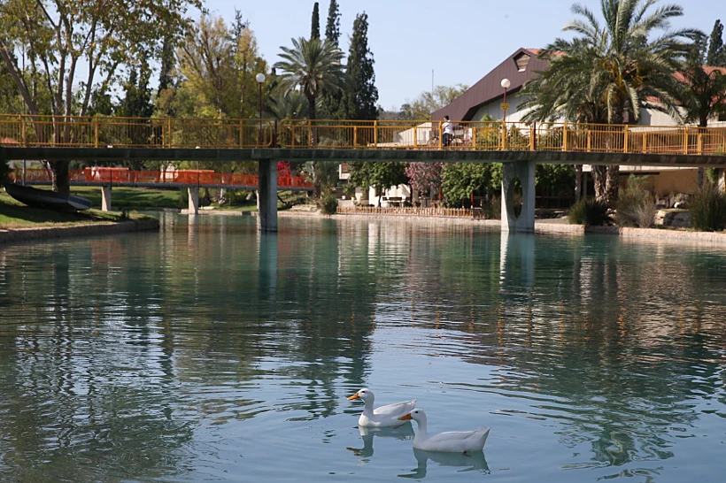 נחל האסי שחוצה את קיבוץ ניר דוד