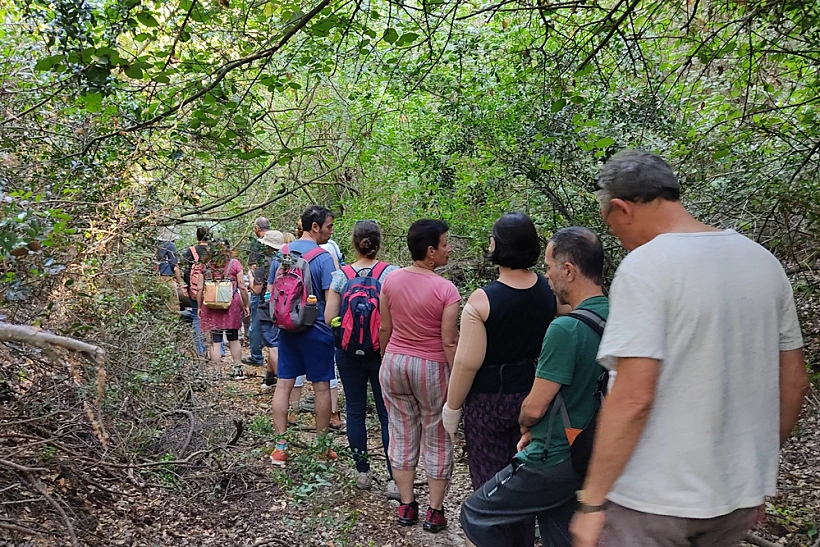 הליכות ג'יין חיפה