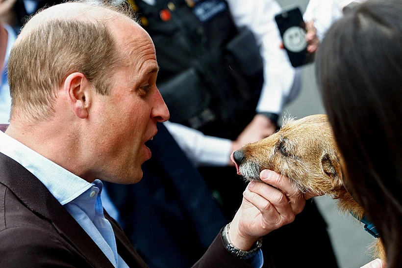 Whatsapp Image 2023 05 05 At 2