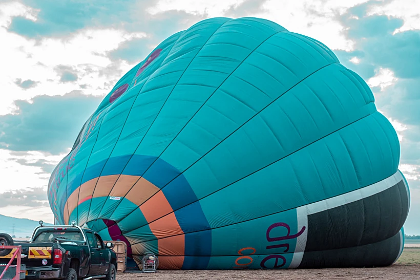 כדור פורח בעמק יזרעאל