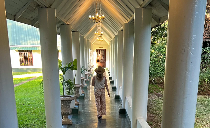 הריבר קלאב לודג' זמביה