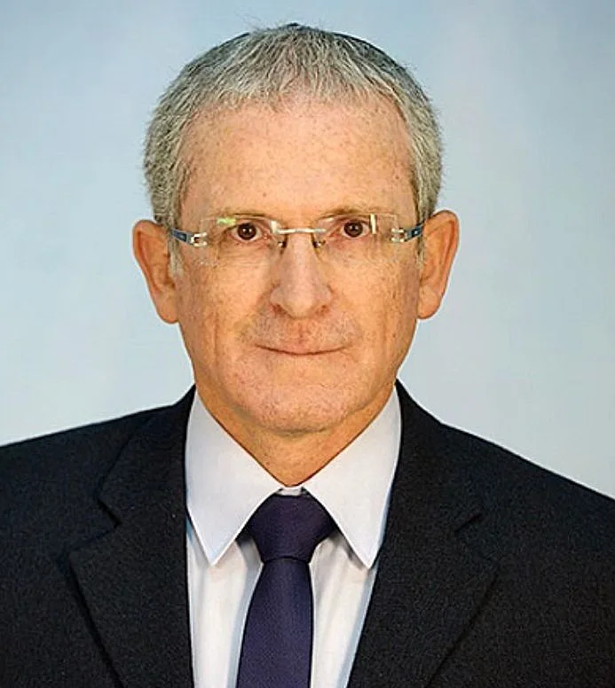 מומי למברגר