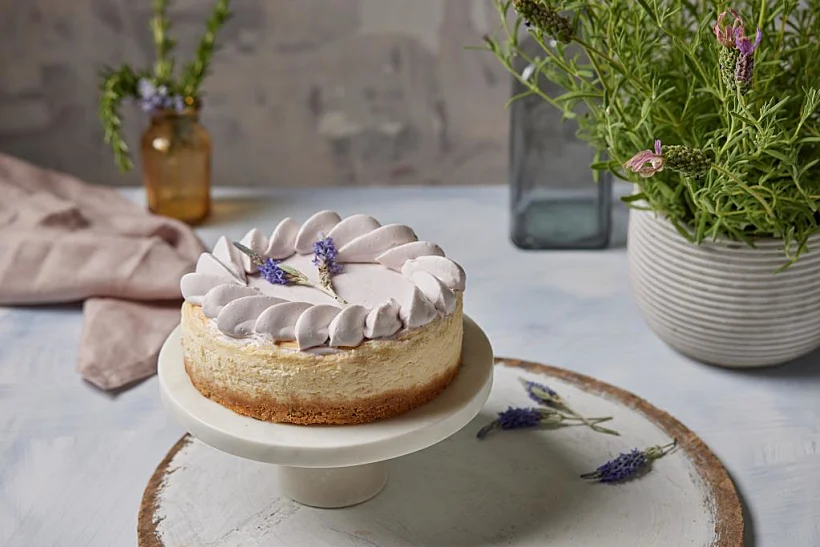 עוגות הגבינה של בוטיק סנטרל