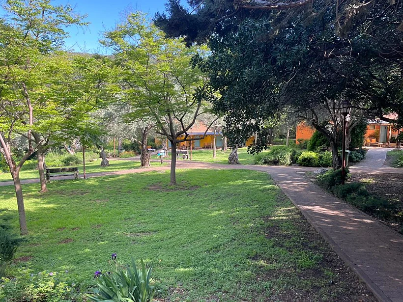 אווירה של קיבוץ קהילתי - סלינה פרוד