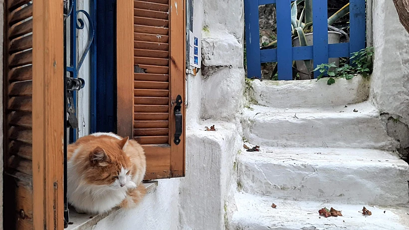 אנפיוטיקה, אתונה