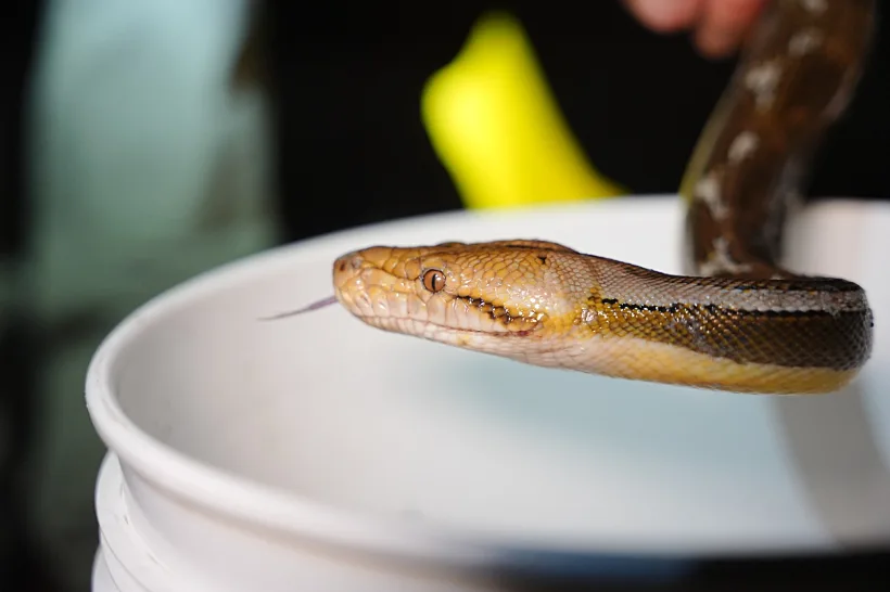 Whatsapp Image 2023 05 21 At 1