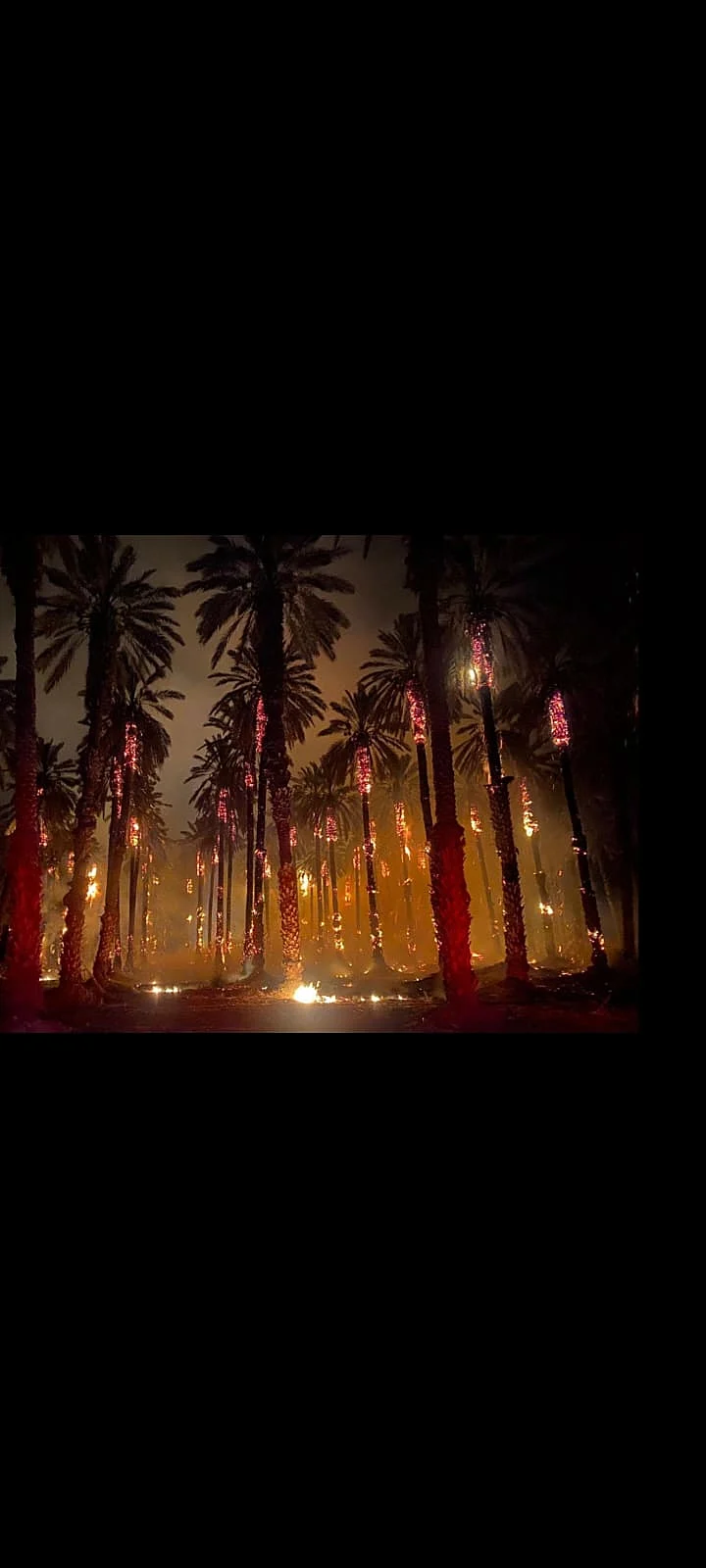 השריפה בחוף קליה