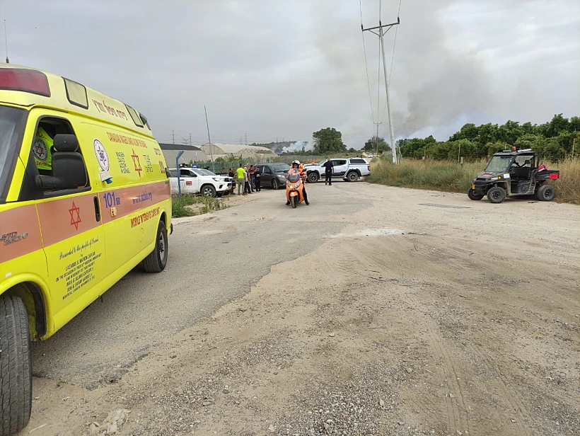 זירת השריפה ביער כרמיה