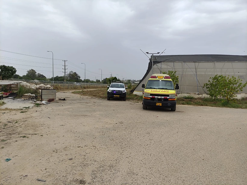 זירת השריפה ביער כרמיה