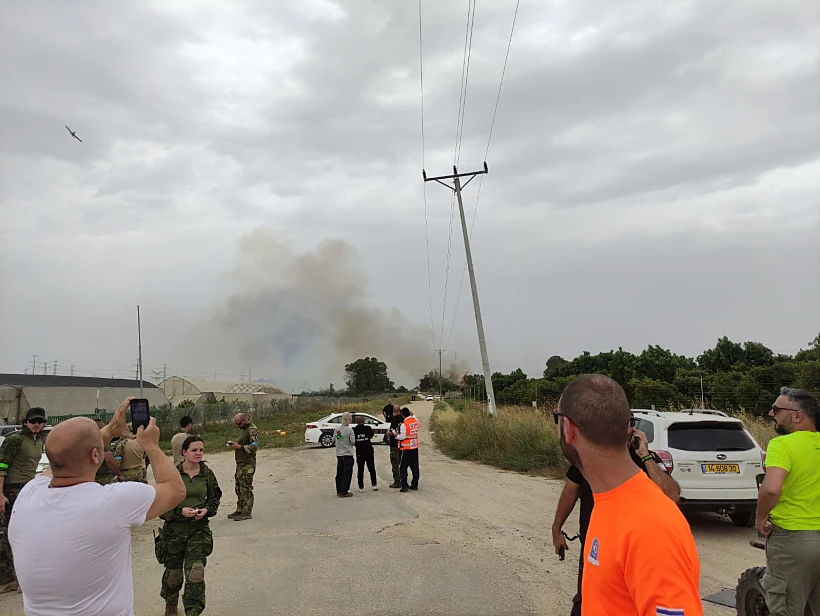זירת השריפה ביער כרמיה