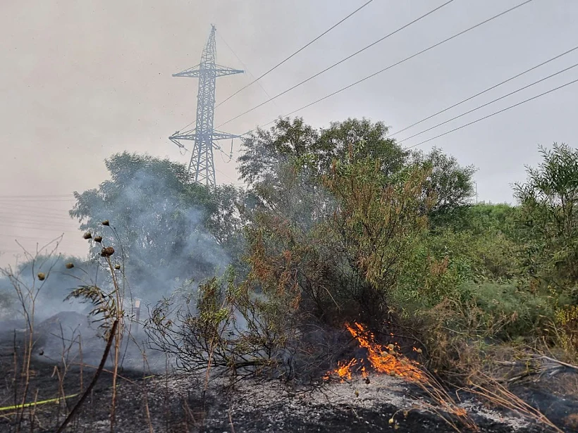 זירת השריפה ביער כרמיה