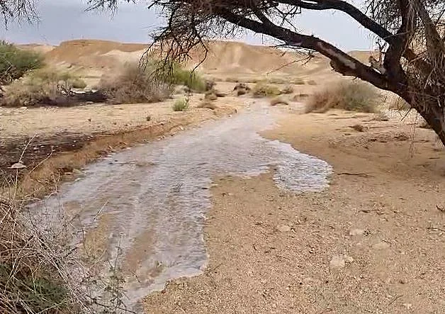 נחל צופר זרימה שיטפונות מים