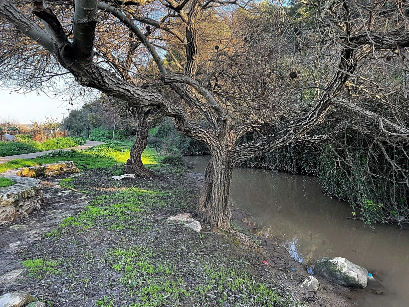 טיילת נחל ציפורי