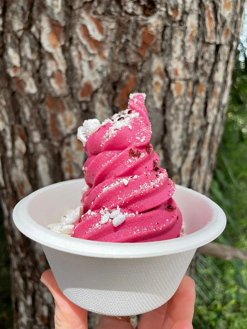 גלידה, אוטו גלידה