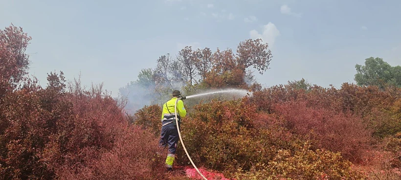 Whatsapp Image 2023 06 02 At 1