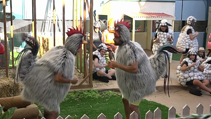 גיא, שניר, האח הגדול