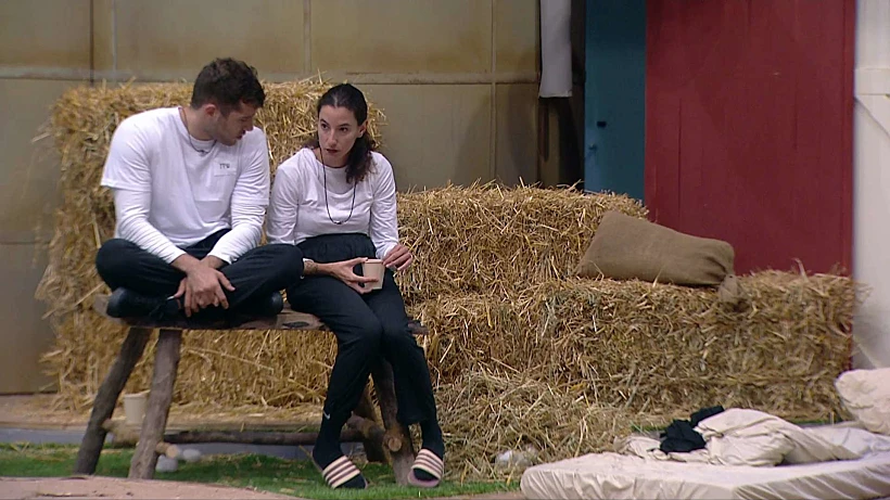 האח הגדול עונה 5, עידן ויובל לוי