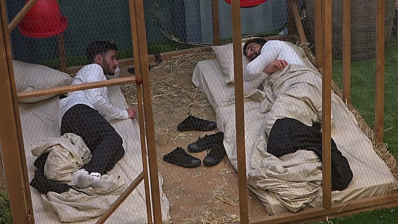 האח הגדול עונה 5. אלון וגיא